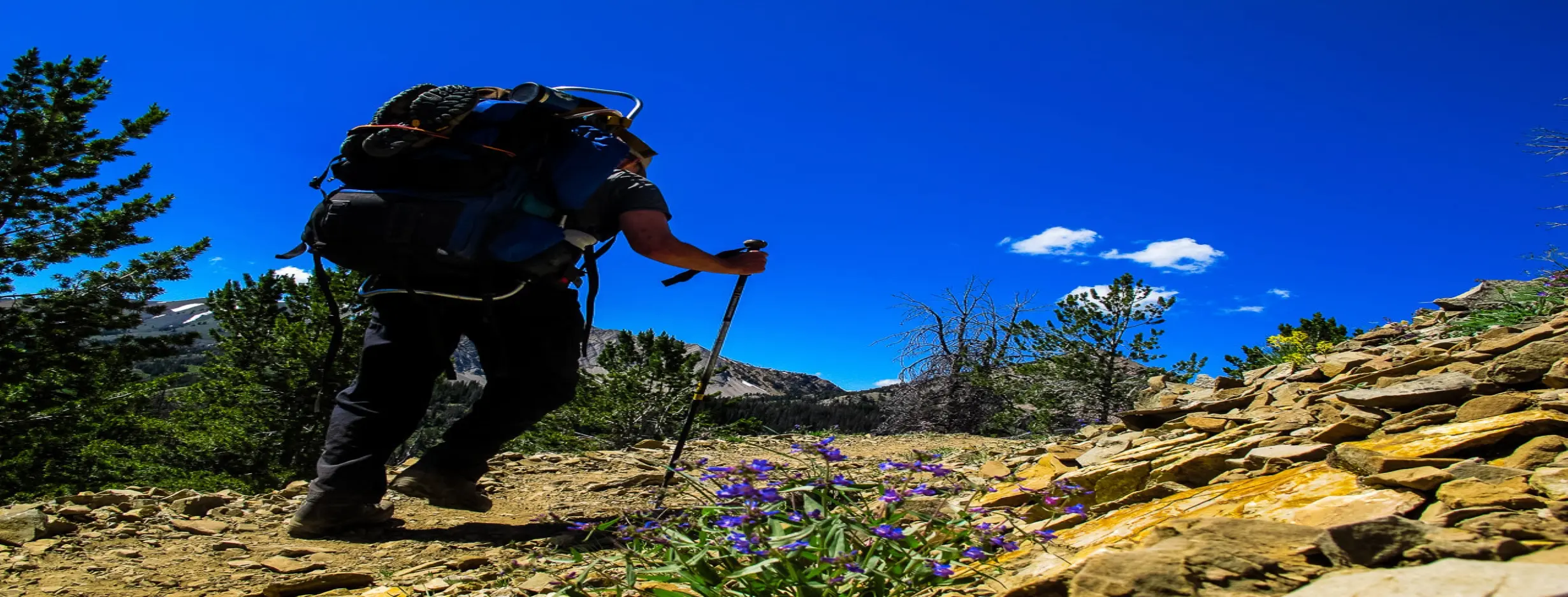 Image for Hiking in Tarnak Farms